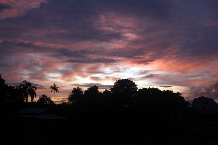 Atardecer sobre las palmeras del pueblo