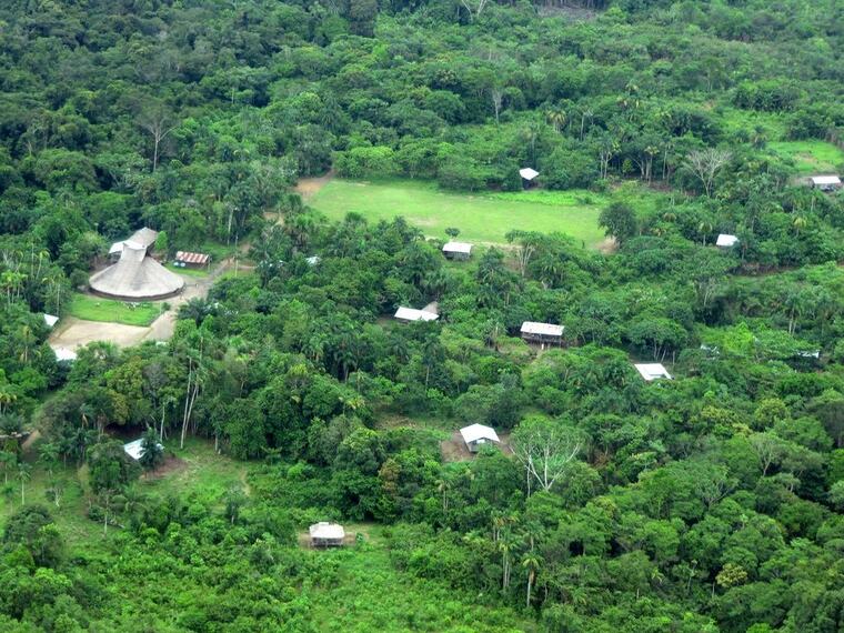 Selva amazónica vista desde el aire